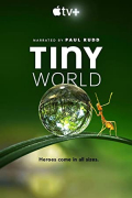 Tiny World S01E04