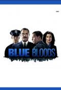 Blue Bloods S03E23