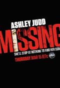 Missing S01E08 - Answers