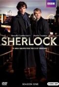 Sherlock S02E03 - The Reichenbach Fall