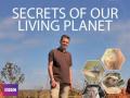 Secrets of Our Living Planet S01E01