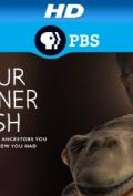 Your Inner Fish S01E01