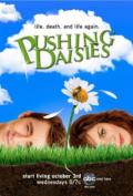 Pushing Daisies S01E01 - Pie-lette