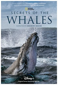 Secrets of the Whales S01E04