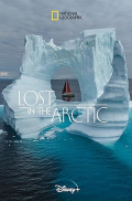 Lost in the Arctic