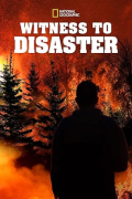 Witness to Disaster S01E06