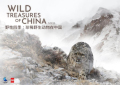 Wild Treasures of China