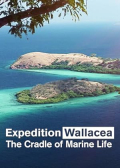 Wallacea - Expedition zur Wiege der Meeresfauna