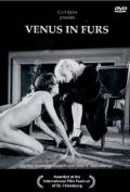 Venus in Furs