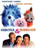 Hercule & Sherlock