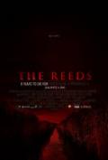 The Reeds