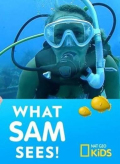 What Sam Sees S01E13
