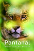 Naturwunder Pantanal - Brasiliens geheimnisvolle Wildnis