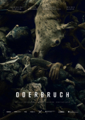 Oderbruch /img/poster/15557828_65cc9056.jpg