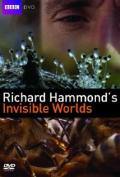 Richard Hammonds Invisible Worlds 03