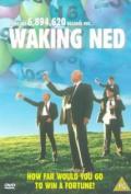 Waking Ned