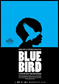 Blue Bird