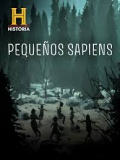 Little Sapiens