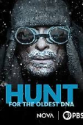 Hunt for the Oldest DNA