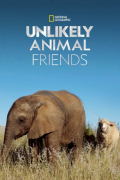 Unlikely Animal Friends S05E06