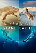 A Year on Planet Earth
