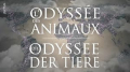L'odyssée des animaux S01E05