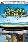 Amazing Journeys