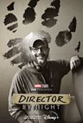 Director by Night