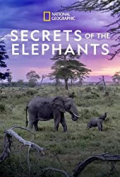 Secrets of the Elephants S01E02
