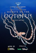Secrets of the Octopus S01E03
