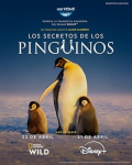 Secrets of the Penguins S01E02