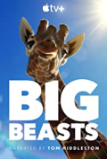 Big Beasts S01E08