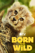 Born to be Wild S01E06