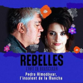 Almodovar, l'insolent de la Mancha