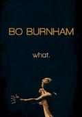Bo Burnham: what.