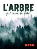 L'arbre qui cache la forêt S01E06