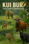 Kui Buri - Thailands unbekanntes Eden