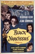 Black Narcissus