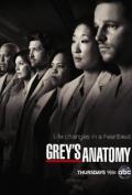 Grey's Anatomy S08E24 Flight
