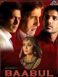 Baabul