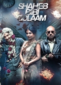 Shaheb Bibi Golaam