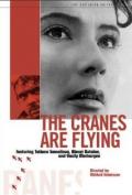 The Cranes Are Flying