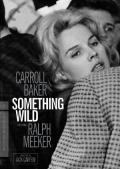 Something Wild