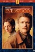 Everwood S02E03