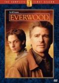Everwood S02E01