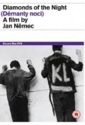 Démanty noci