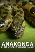Anakonda - In der Welt der Würgeschlange