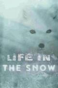 Life in the Snow