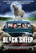 Black sheep