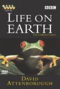 Life on Earth 09
